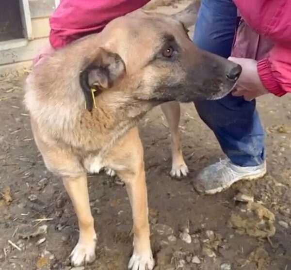 HANNELORE (♀) – Bild 4