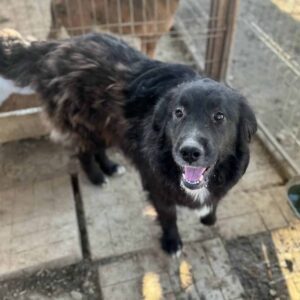 AIDA (♀) - RBB 07/24