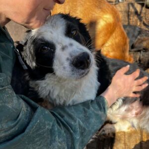 SYLVANA (♀) - ausgereist zu Mit Tieren leben