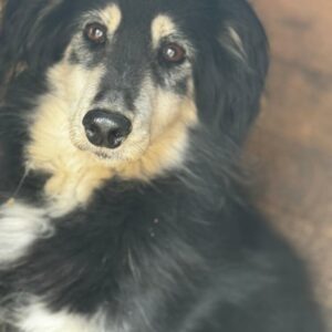 TATI (♀) - RBB 06/24