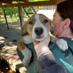 BAMBINA (♀) - sollte zeitnah ausreisen - ausgereist zum TH Gifhorn