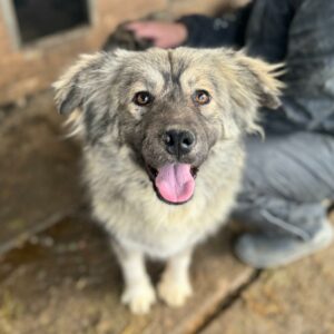 MELISSA (♀) - RBB 09/24