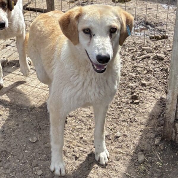 SHELLY (♀) – Bild 6