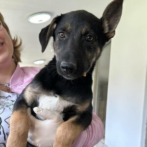 KAYCEE (♀) - vor Ort vermittelt 05/24