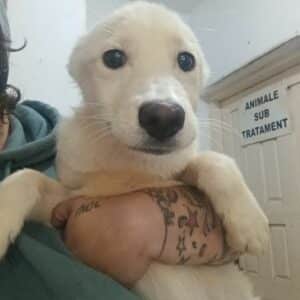 EINSTEIN (♂) - ausgereist zur Tierhilfe Lebenswert