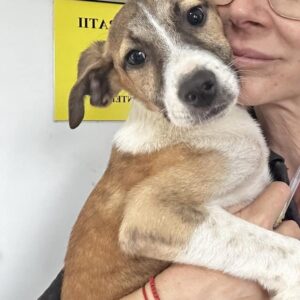 FIL (♂) - vermittelt MD