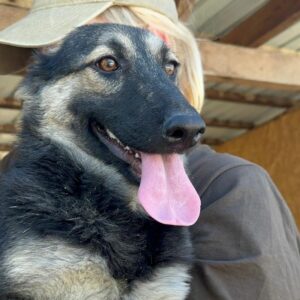 LEXA (♀)  - RBB 10/24