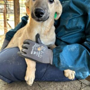 TEREZA (♀) - vermittelt MD