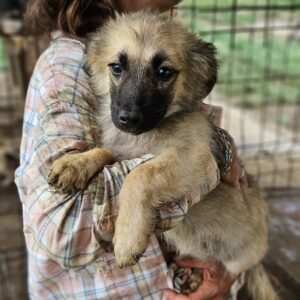 KATINKA (♀) - auf PS im PLZ Bereich 14 - vermittelt