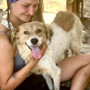 TIGO (♂) - ausgereist zum TST Rösrath