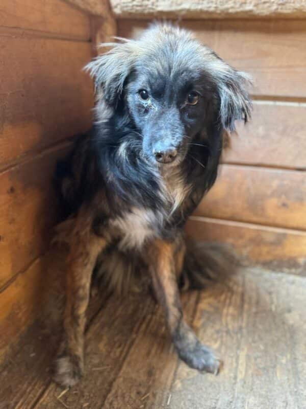 FRIDOLIN (♂) – Bild 3