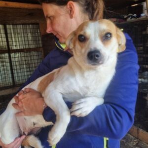 ALIRIA (♀) - ausgereist zum TST Rösrath