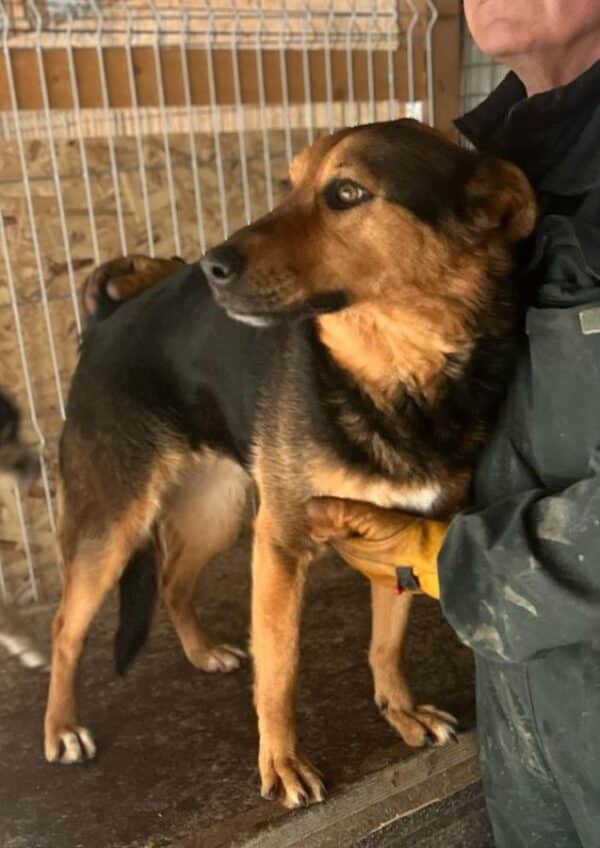 RONJA (♀) – Bild 2