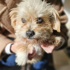 MALIN (♀) - auf PS im PLZ Bereich 18 - vermittelt