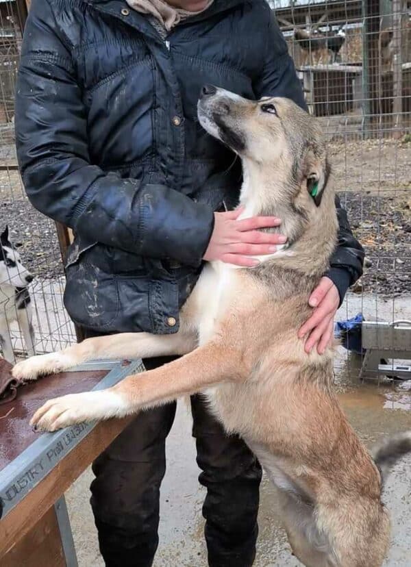 THORA (♀) – Bild 3