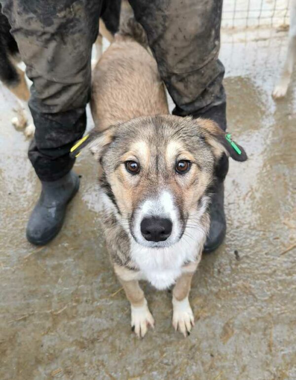 THORA (♀) – Bild 5