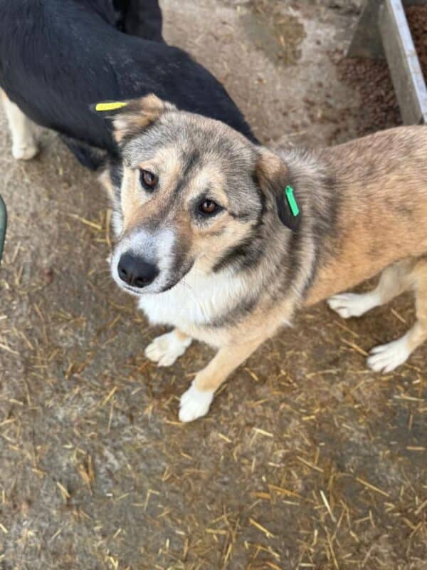 THORA (♀) – Bild 2