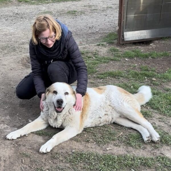SINJA (♀) – Bild 2