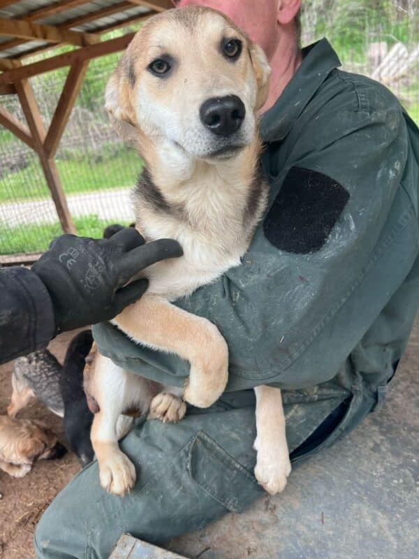 KULKA (♀) – Bild 3