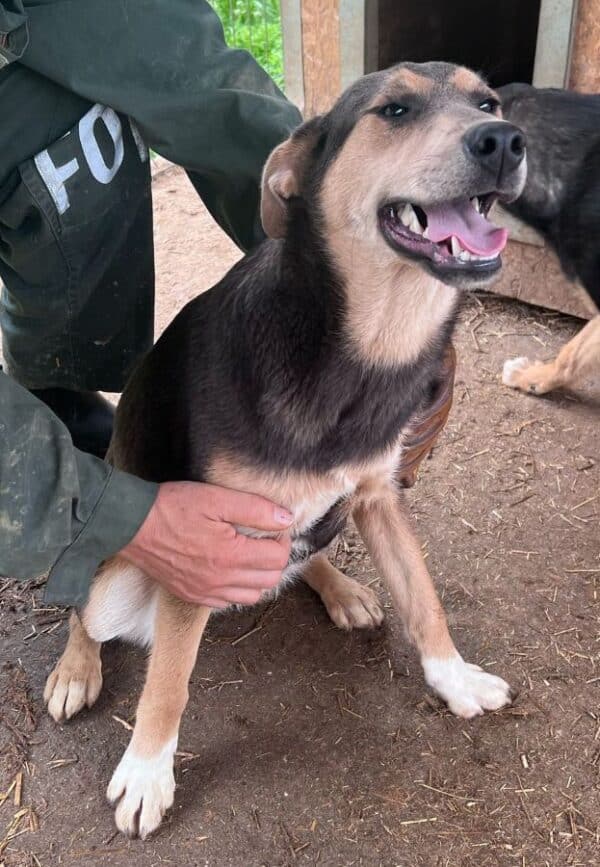ANAYA (♀) – Bild 3