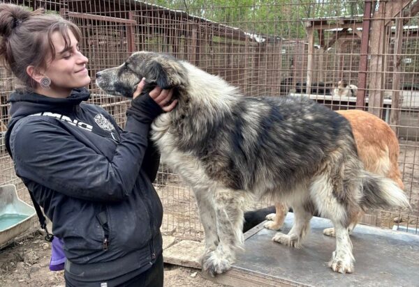 IVAR (♂) – Bild 4