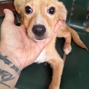 JACK (♂) - vermittelt NH