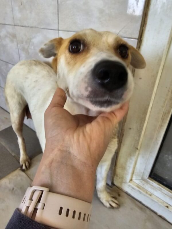 MUMMY (♀) - seelischer Notfall - reserviert (Betty 11.06.) – Bild 2