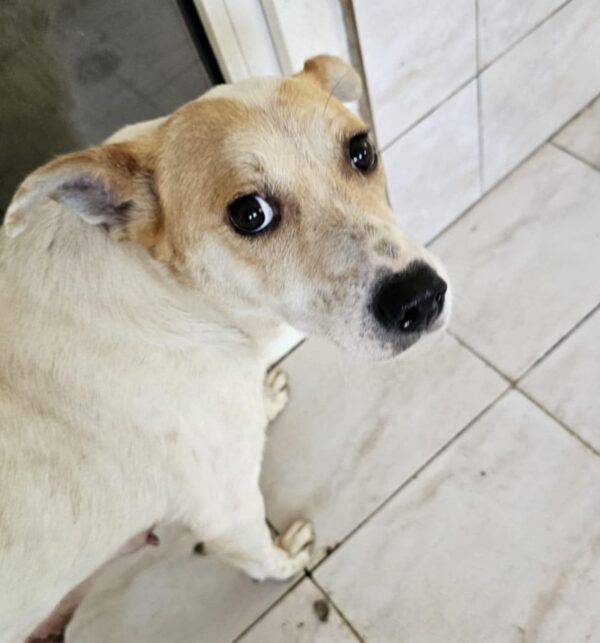 MUMMY (♀) - seelischer Notfall - reserviert (Betty 11.06.)