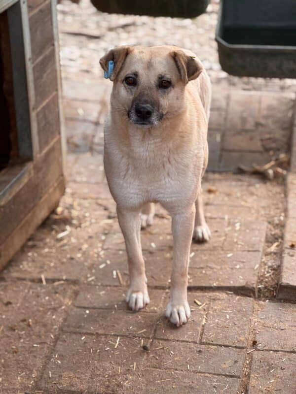 ISABELL (♀) – Bild 4