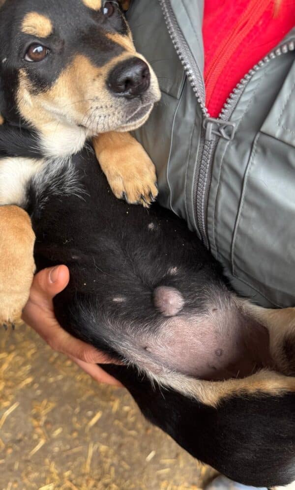 MAILY (♀) – Bild 11