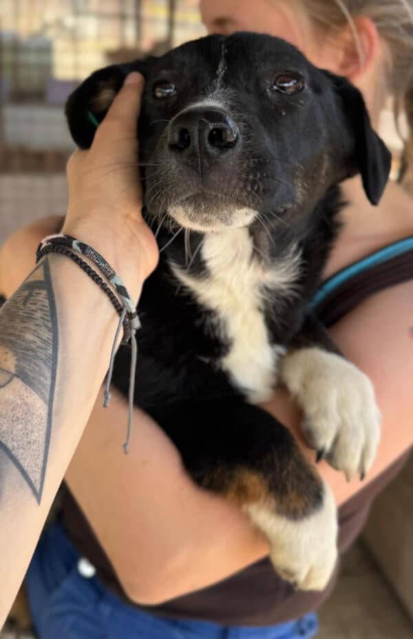 FRIDA (♀) – Bild 3