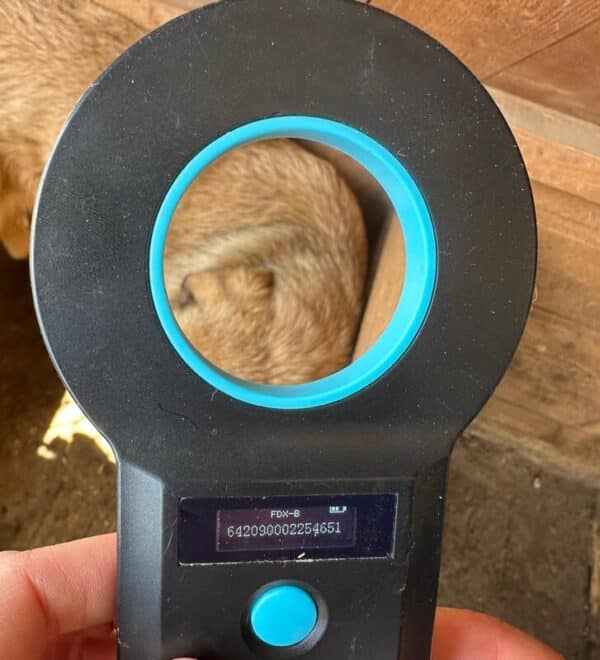 HERBERT (♂) – Bild 9