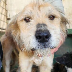 FABIJENNA (♀) - RBB 05/25