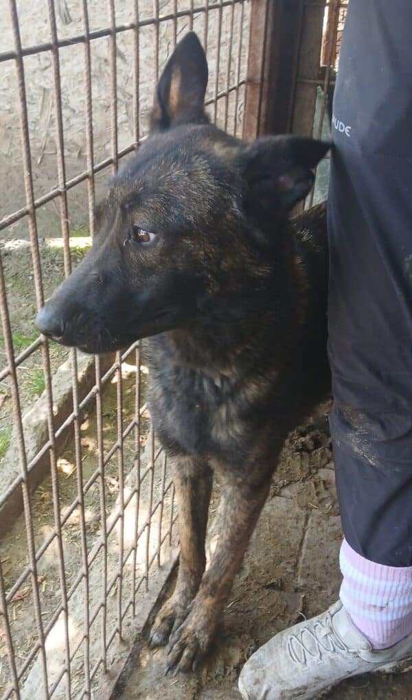 RANI (♀) – Bild 9