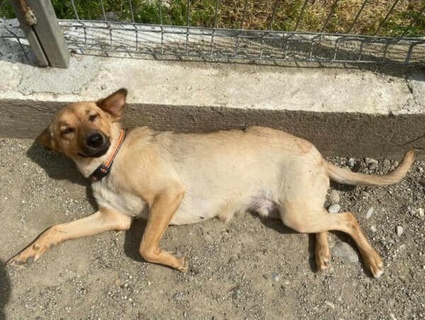 KAIA (♀) – Bild 4