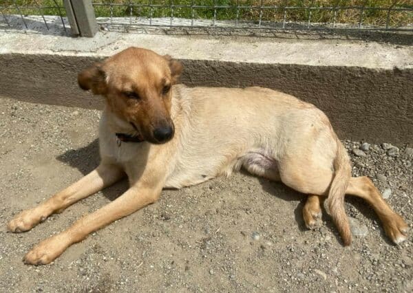 KAIA (♀) – Bild 5