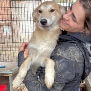 APEROLI (♂) reserviert- MD - 09.11.25