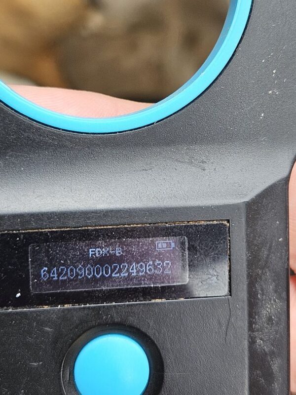 H11PLK438 (♀) – Bild 8