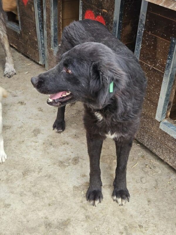 LILY (♀) – Bild 5