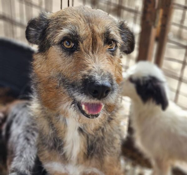 MADRA (♀)