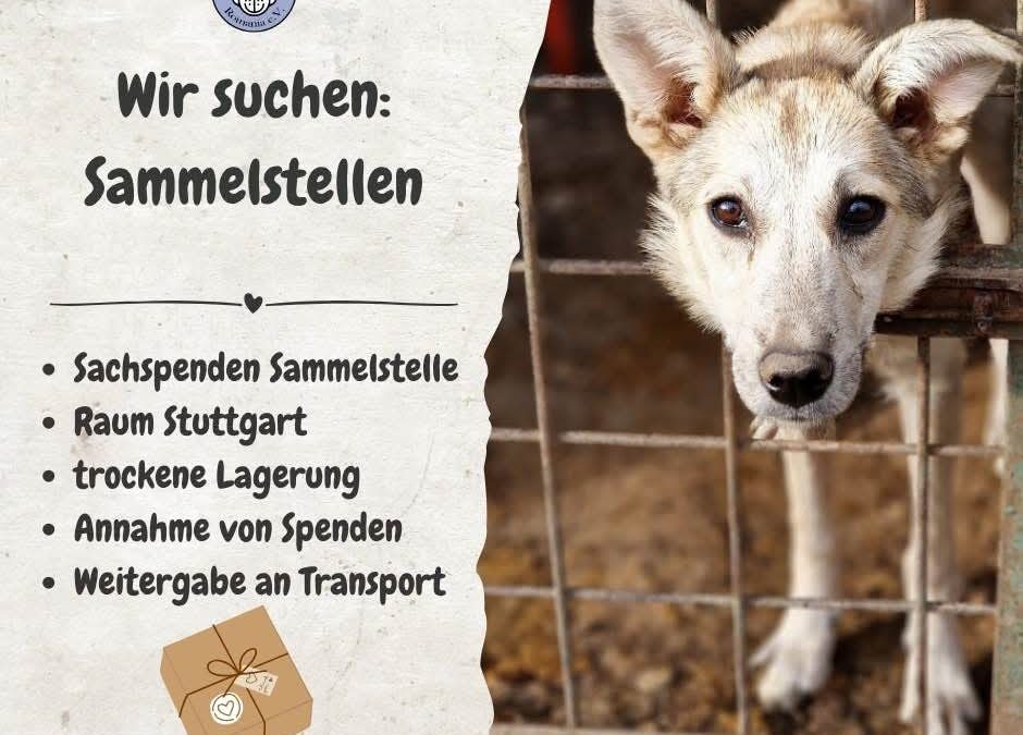 📣 Aufruf: Sachspenden-Sammelstelle für Tierheimhunde in Rumänien gesucht – Raum Stuttgart