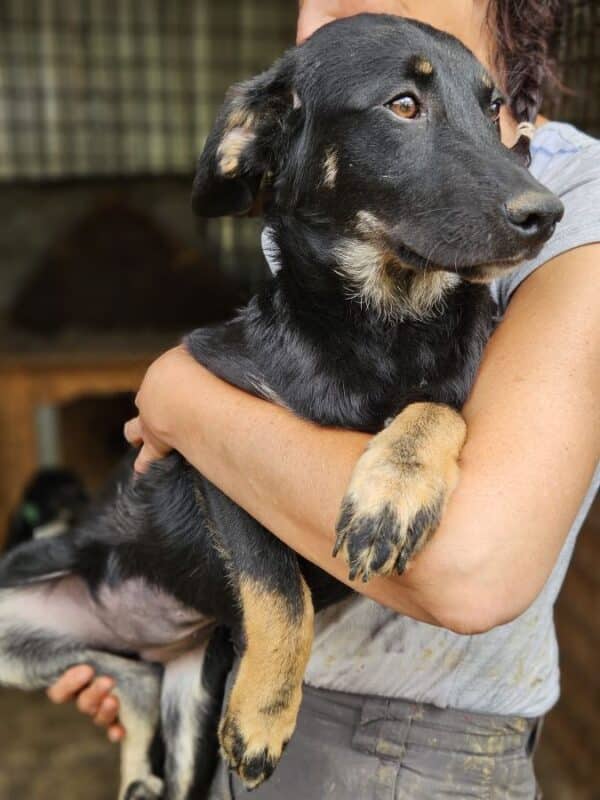MAILEEN (♀) – Bild 4
