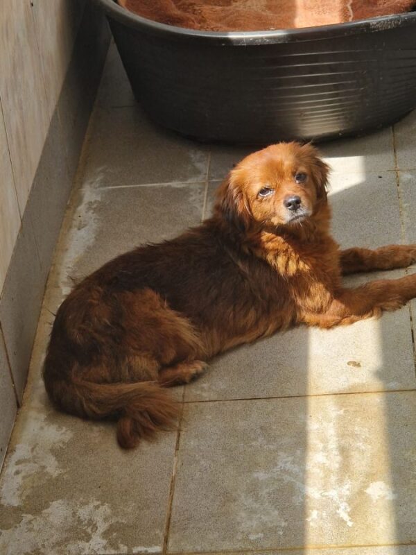 MARNIE (♀) – Bild 4