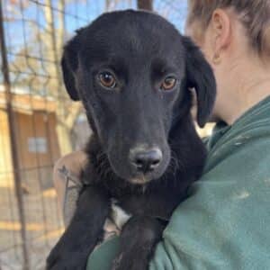 FUNNY (♀) - wird unsicher, sollte dringend reisen!