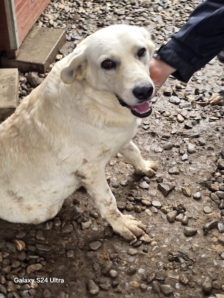 BRIENNE (♀) – Bild 5