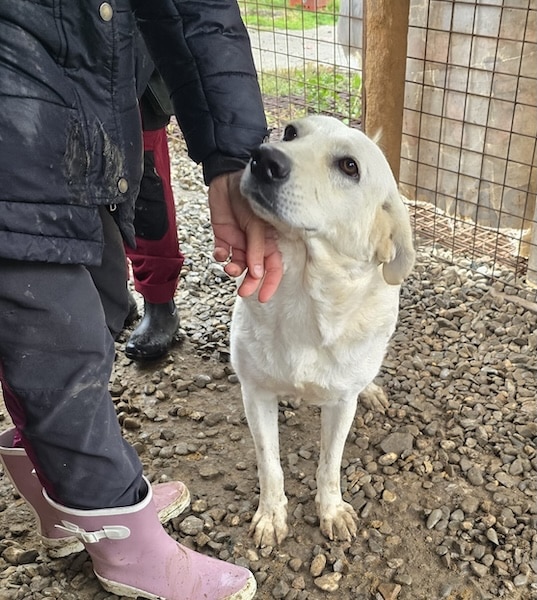 BRIENNE (♀) – Bild 2