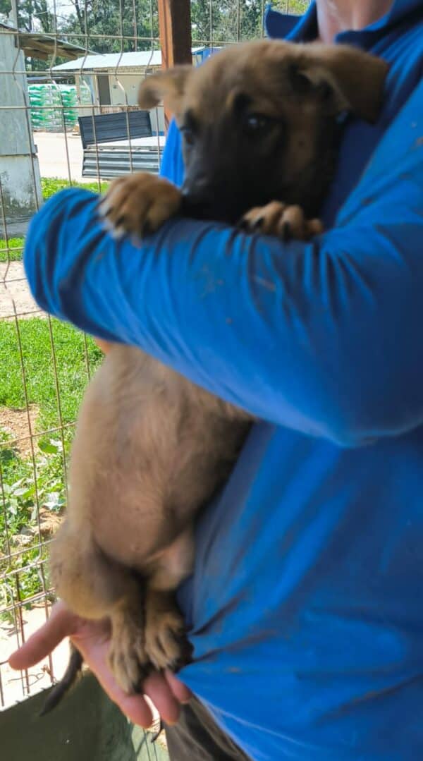 NIKI (♀) – Bild 2