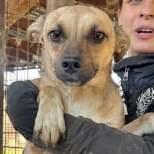 KILA (♀) - wird unsicher, sollte zeitnah reisen