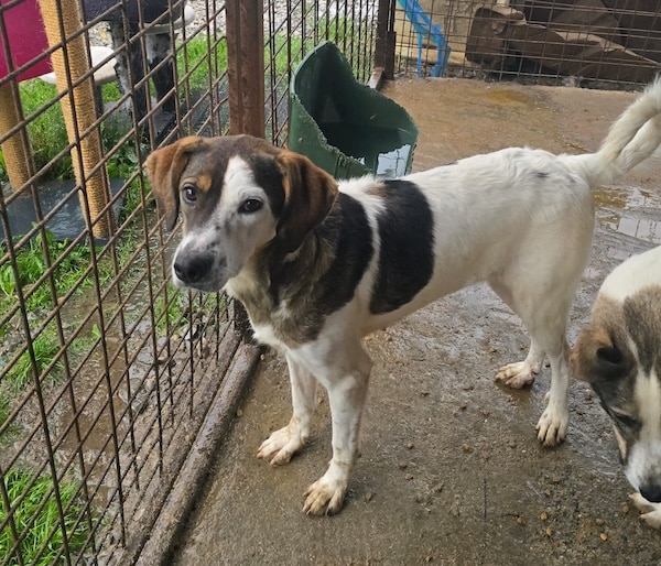 MARLI (♀) – Bild 2