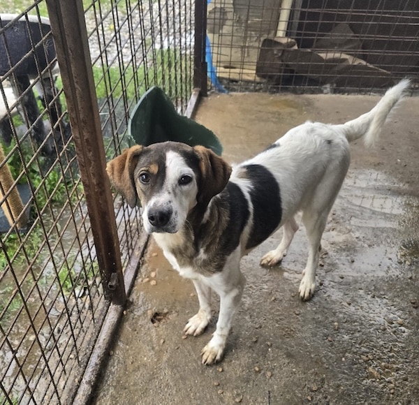 MARLI (♀) – Bild 3